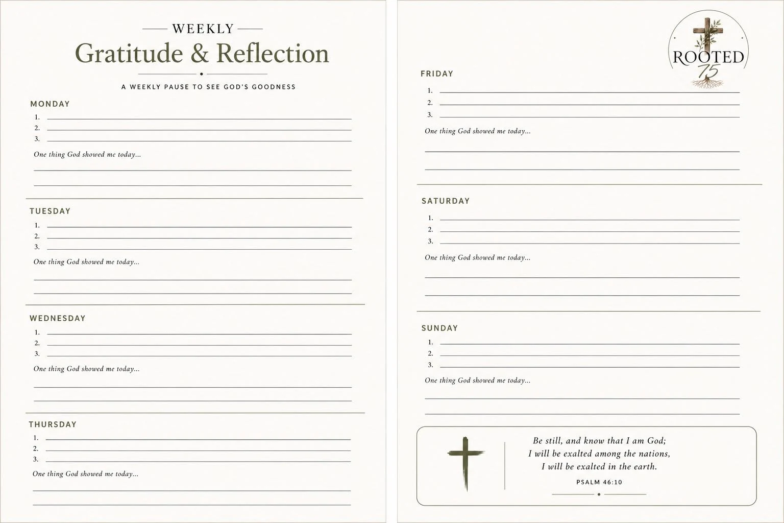 Weekly Gratitude & Reflection preview